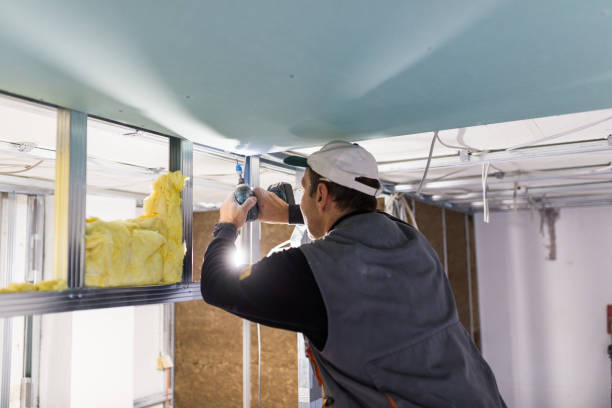 Best Insulation for New Construction  in Clarkson, KY