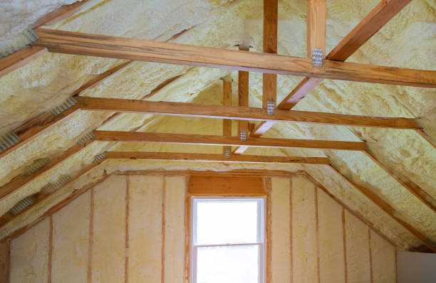 Best Insulation Inspection Services  in Clarkson, KY