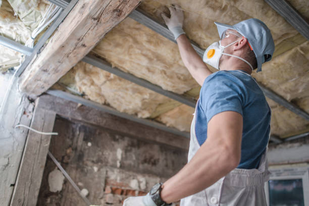 Best Insulation Contractor Near Me  in Clarkson, KY