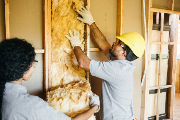 Best Attic Insulation Near Me  in Clarkson, KY