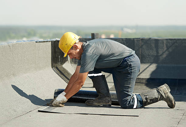 Best Insulation Replacement Services  in Clarkson, KY