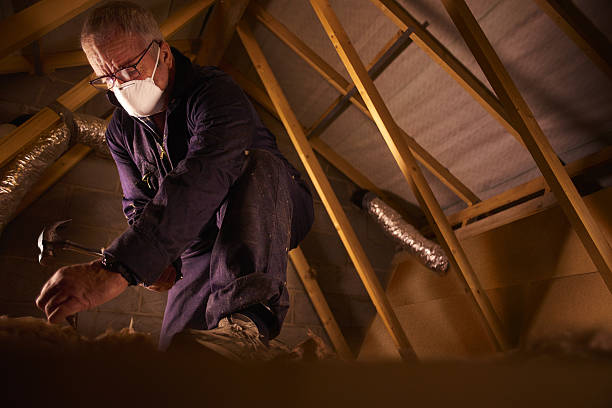 Insulation Repair Services in Clarkson, KY